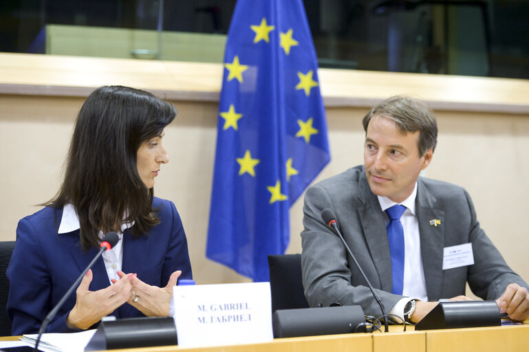 Foto 12: Workshop: Optimising EU relations with third countries around the electoral cycle