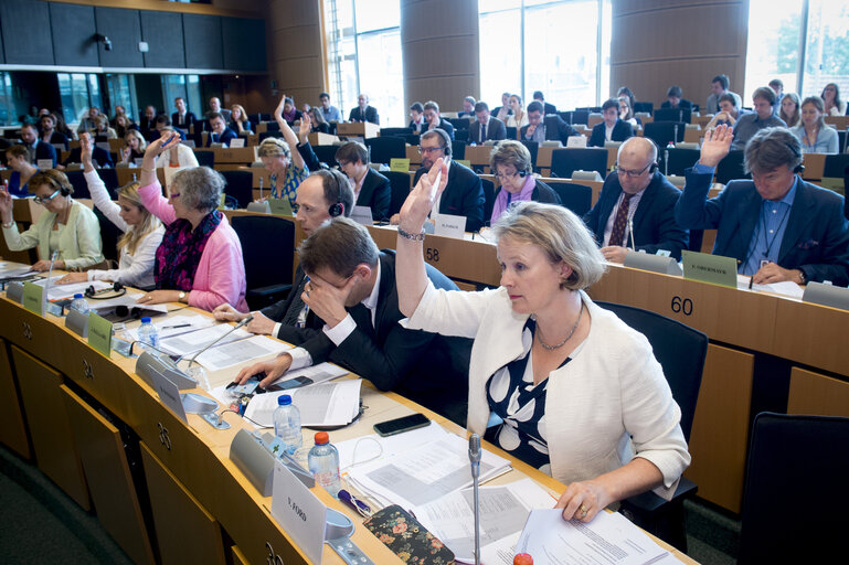 Photo 7 : EP Committee on the Internal Market and Consumer Protection - Vote on Control of the acquisition and possession of weapons