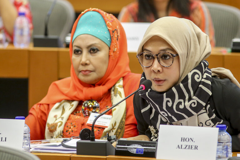 Fotografija 14: Meeting of the DASE (Delegation for Relations with the countries of South-East Asia and the ASEAN) with a high ranking Delegation from Indonesia