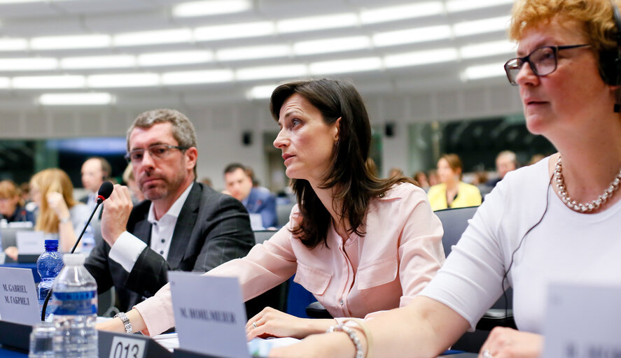 Billede 12: LIBE Committee - Vote on EU common list of safe countries of origin