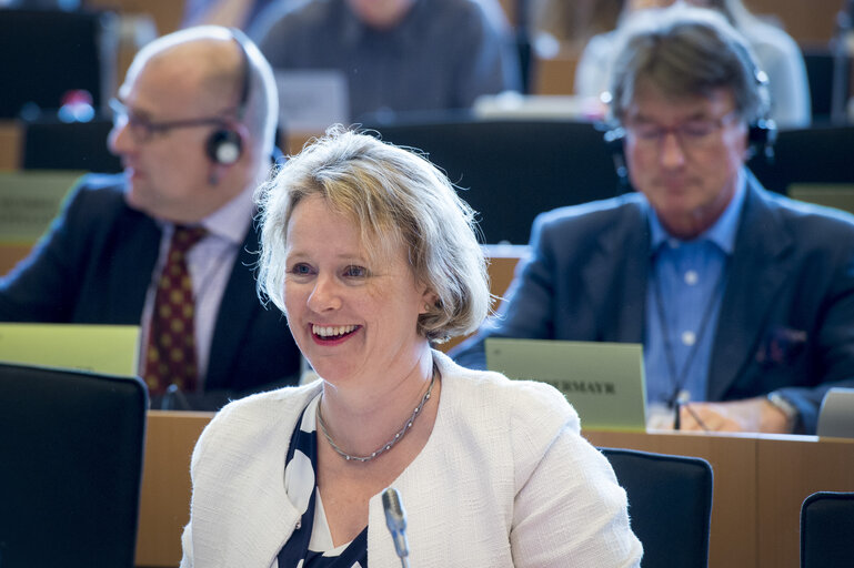 Photo 8 : EP Committee on the Internal Market and Consumer Protection - Vote on Control of the acquisition and possession of weapons