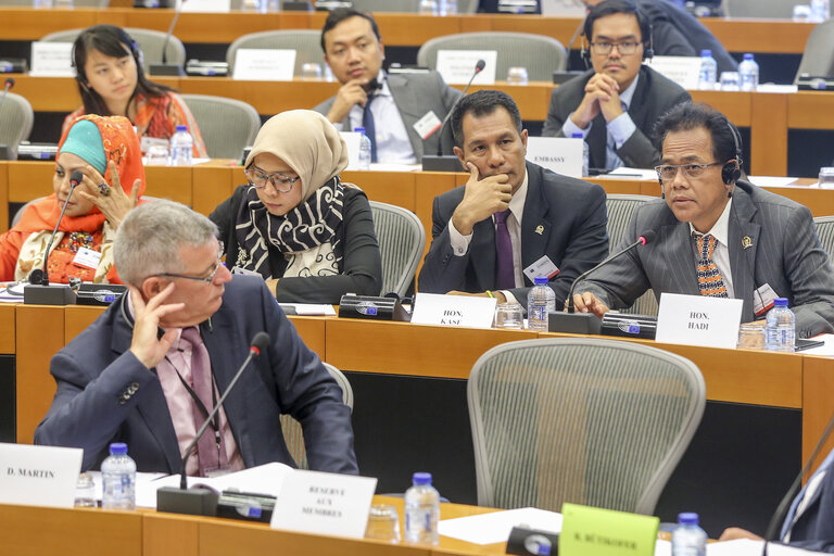 Fotografija 16: Meeting of the DASE (Delegation for Relations with the countries of South-East Asia and the ASEAN) with a high ranking Delegation from Indonesia