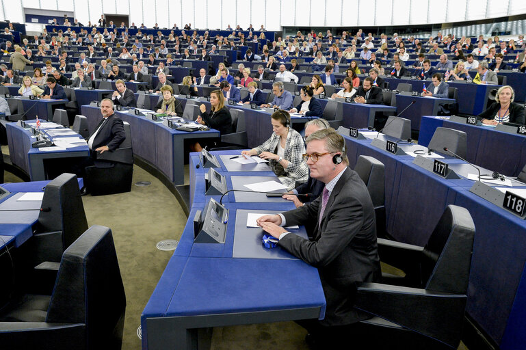 Photo 8 : Hearing of Sir Julian King, Commissioner-designate (Security Union) and vote.