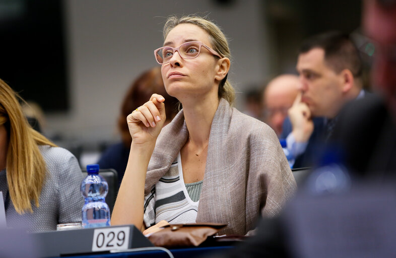 Billede 9: LIBE Committee - Vote on EU common list of safe countries of origin