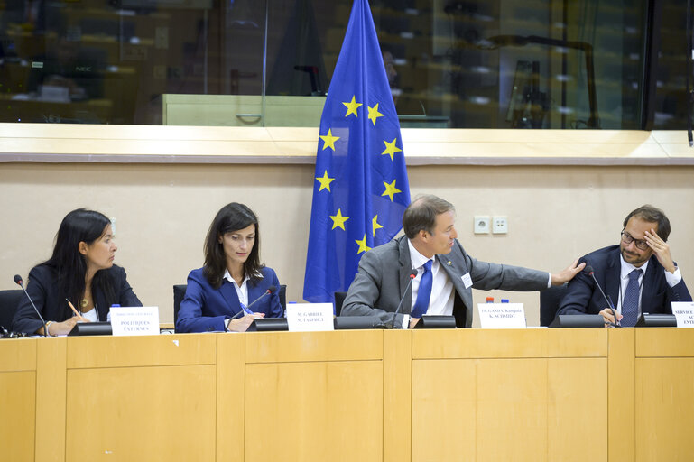 Foto 5: Workshop: Optimising EU relations with third countries around the electoral cycle