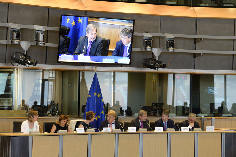 Photo 2: Extraordinary AFET meeting on Turkey