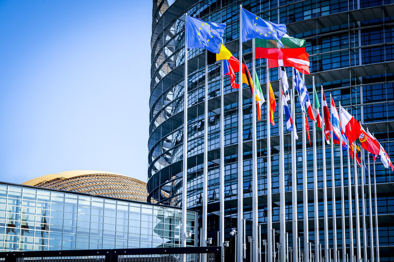 Billede 4: Rehabilitaition of the roof of EP building in Strasbourg