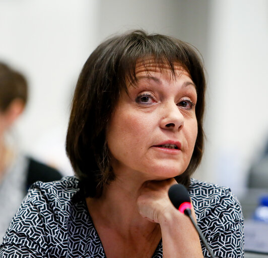 Billede 4: LIBE Committee - Vote on EU common list of safe countries of origin