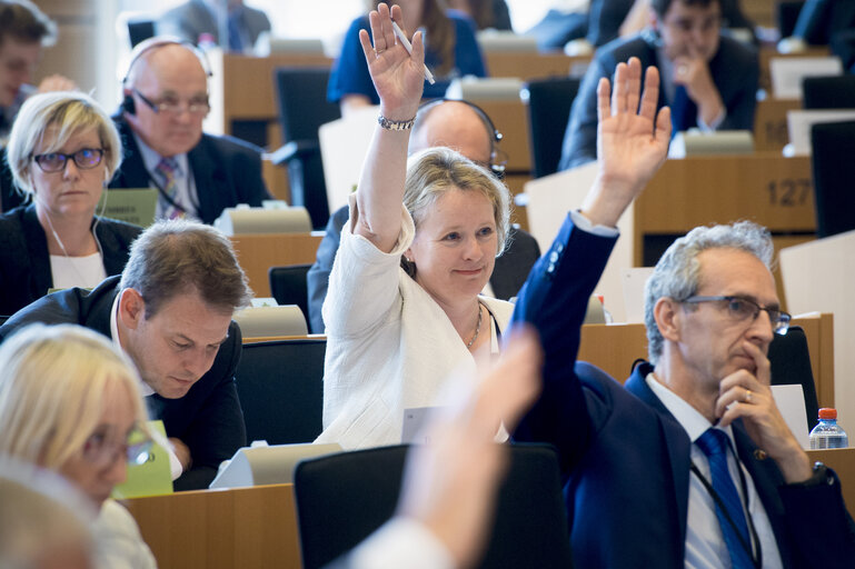 Photo 4 : EP Committee on the Internal Market and Consumer Protection - Vote on Control of the acquisition and possession of weapons