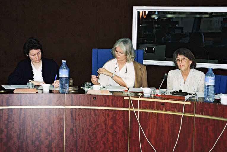 Meeting at the European Parliament in Strasbourg