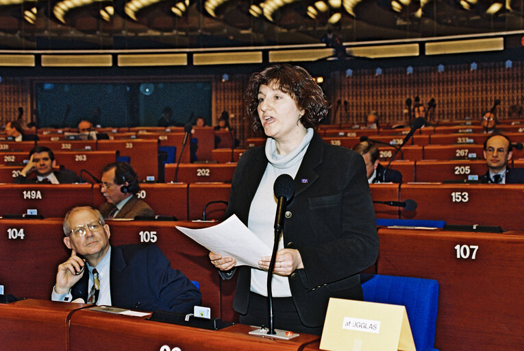 Photo 7: Plenary session in Strasbourg
