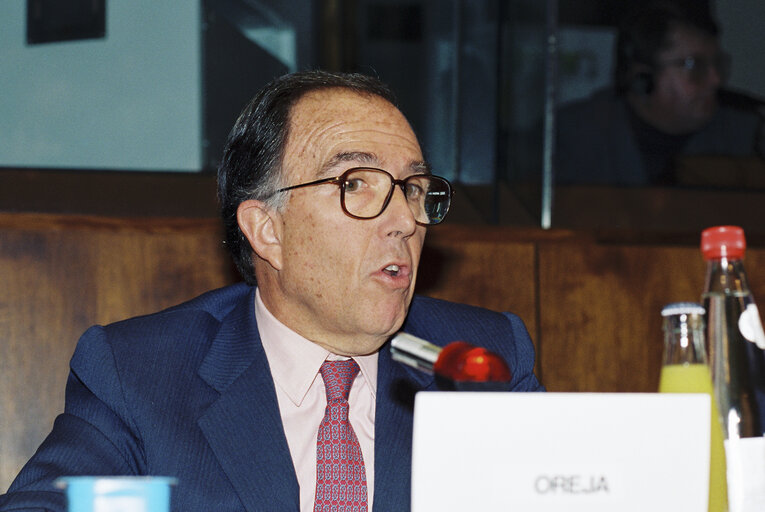 Photo 2 : Hearing of Marcelino OREJA (Spain), Commissioner designate for Institutional Affairs, Parliament, Culture and Audiovisual