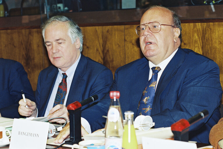 Снимка 4: Hearing of Martin BANGEMANN (Germany), Commissioner designate for Industrial Affairs, Information technologies and Telecommunications