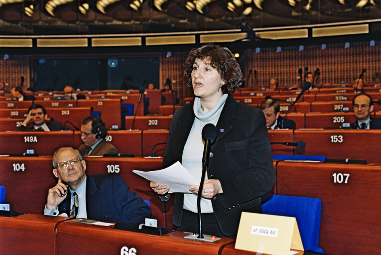 Photo 8: Plenary session in Strasbourg