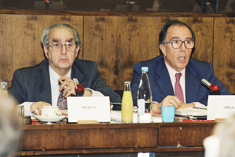 Photo 3 : Hearing of Marcelino OREJA (Spain), Commissioner designate for Institutional Affairs, Parliament, Culture and Audiovisual