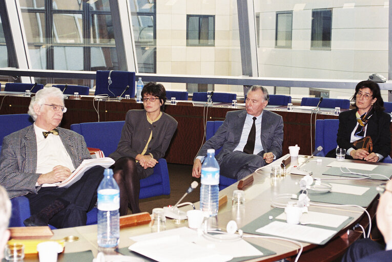 Meeting at the European Parliament in Strasbourg