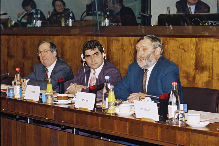 Fotografija 4: Hearing of Franz FISCHLER (Austria), Commissioner designate for Agriculture