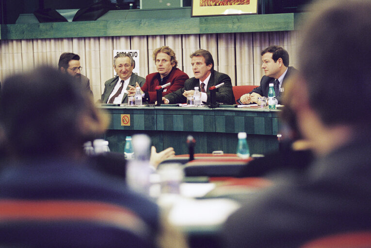 Снимка 6: Meeting in support of the 1000th day of the Siege of Sarajevo at the European Parliament in Strasbourg