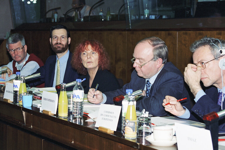 Fotografi 6: Meeting at the European Parliament in Strasbourg