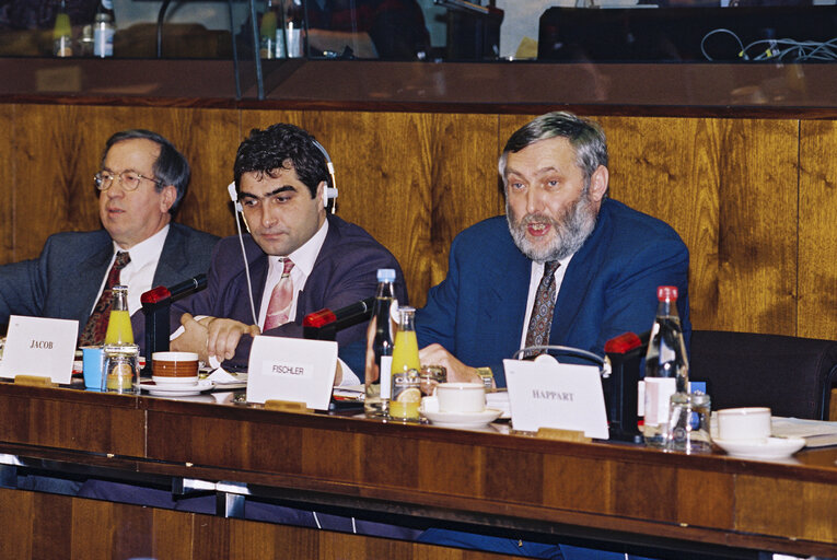 Fotografija 5: Hearing of Franz FISCHLER (Austria), Commissioner designate for Agriculture