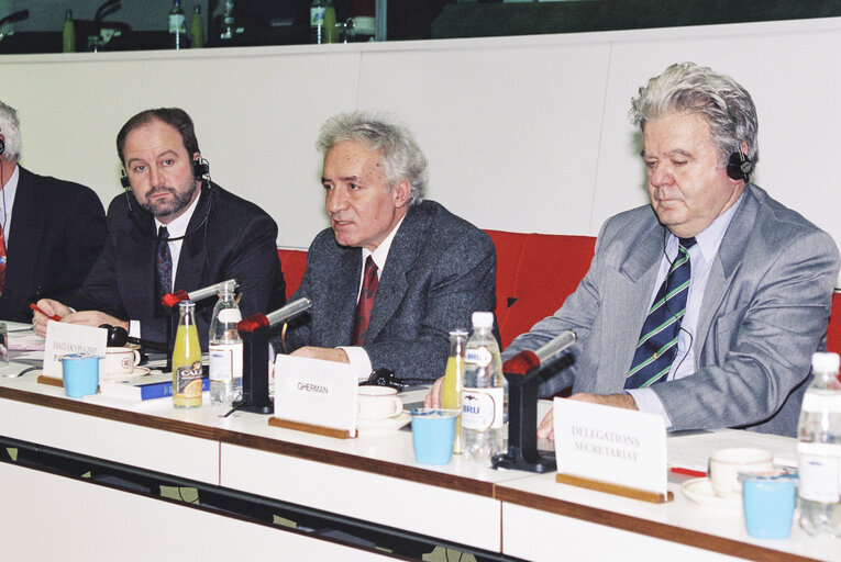 Fotografi 4: Meeting at the European Parliament in Brussels