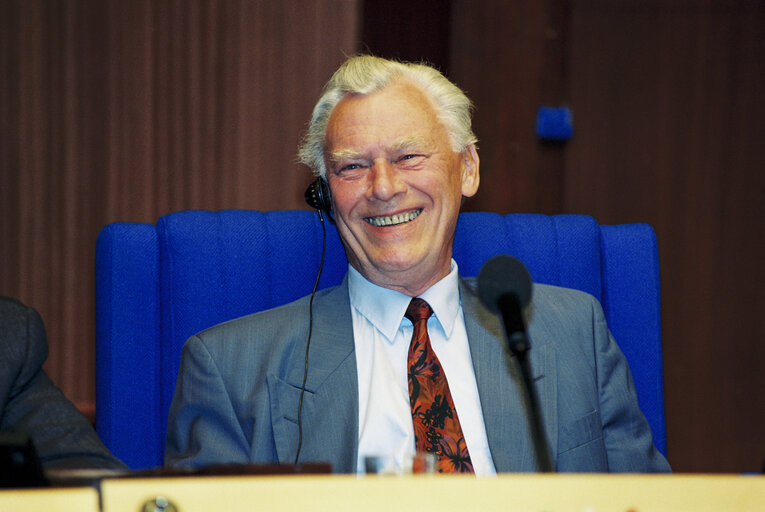 Fotografia 14: Plenary session in Strasbourg