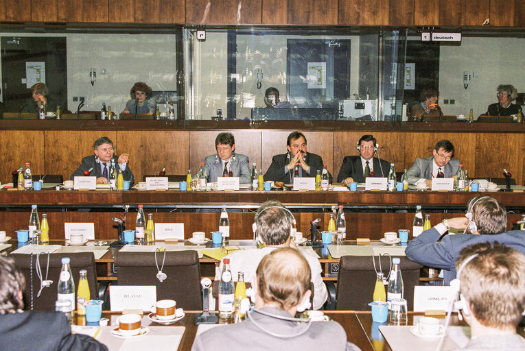 EU-Estonia Joint parliamentary meeting at the EP in Brussels