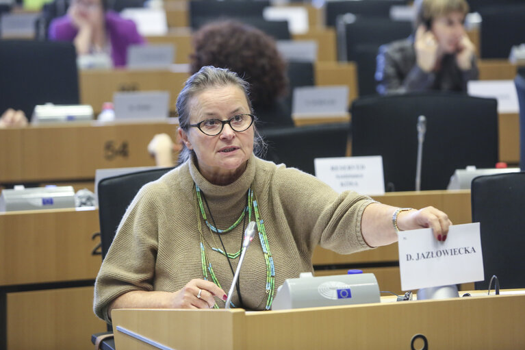 EMPL committee meeting. Exchange of views with EU national parliaments on ' A targeted revision of the rules on the posting of workers '