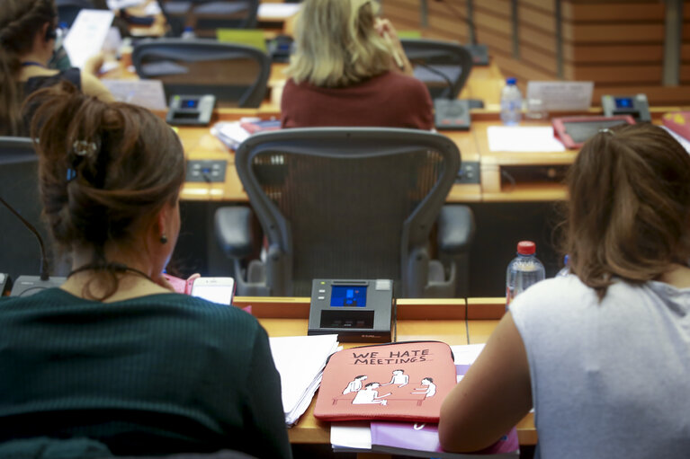 Fotografi 7: FEMM committee meeting. Hearing on ' EU funds for gender equality '