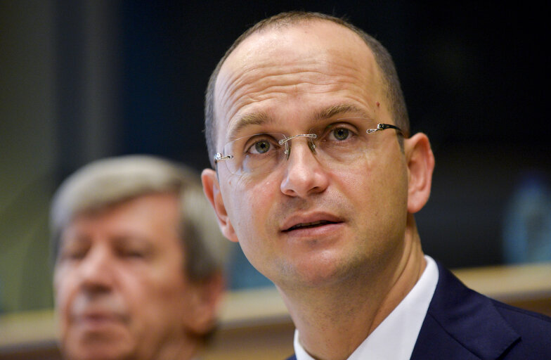 EU-Albania Friendship Group