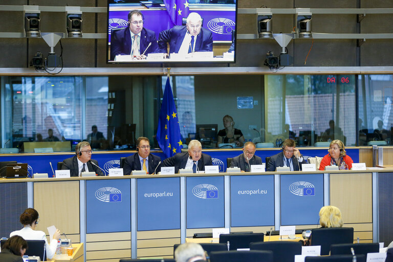 Photo 7: AGRI committee meeting -  How can the CAP improve job creation in rural areas ?