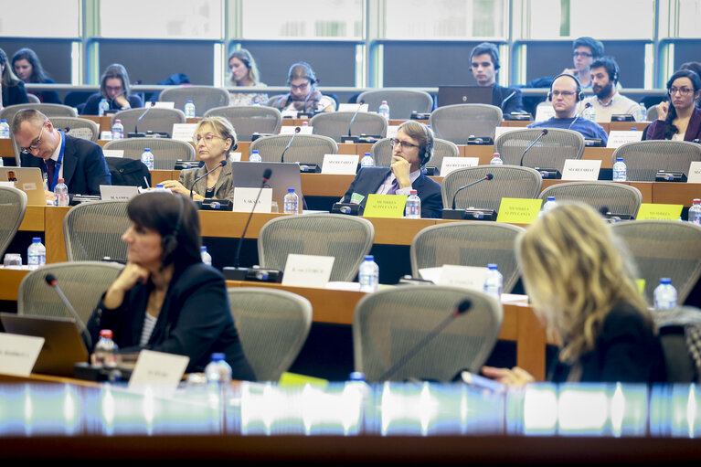 Fotografi 6: FEMM committee meeting. Hearing on ' EU funds for gender equality '