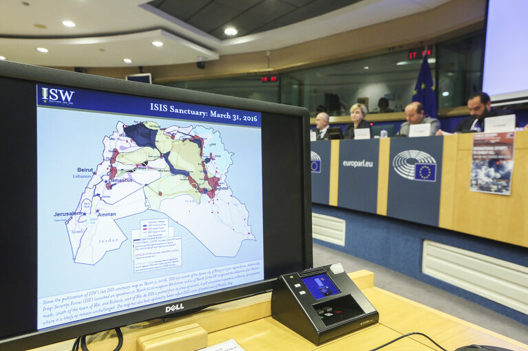 Fotografie 9: Public Hearing of the Subcommittee on Defence (SEDE) on ' International efforts to combat ISIL: military and strategic dimension'