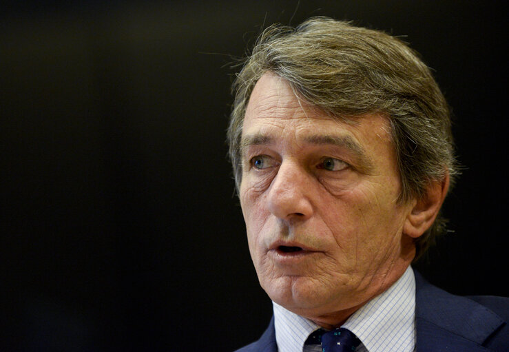 EU-Albania Friendship Group