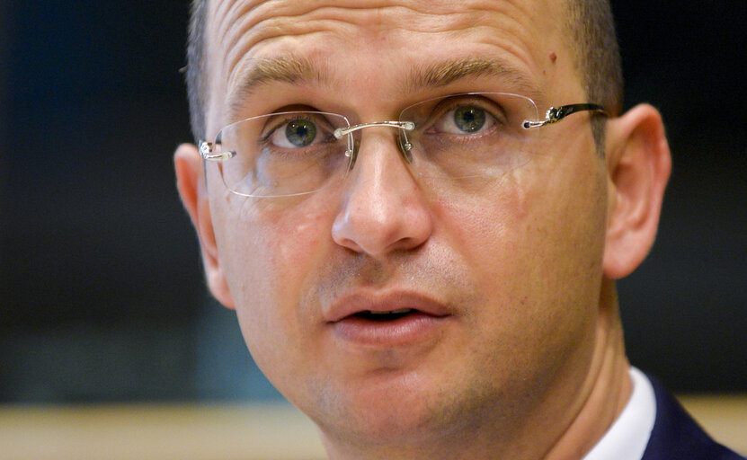 EU-Albania Friendship Group