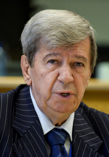 EU-Albania Friendship Group