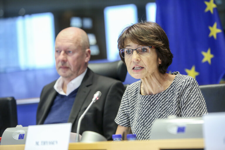 EMPL committee meeting. Exchange of views with EU national parliaments on ' A targeted revision of the rules on the posting of workers '