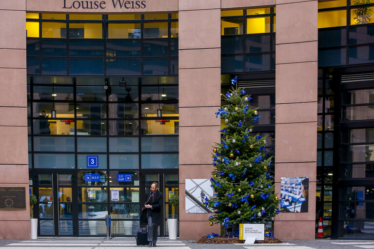 Christmas Tree at EP Parliament in Strasbourg