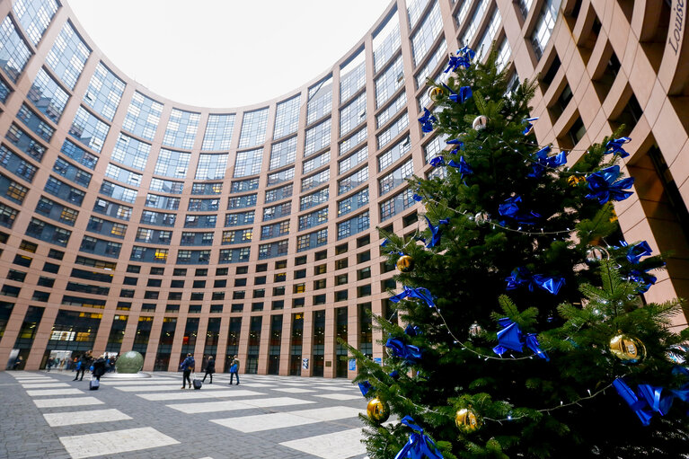 Christmas Tree at EP Parliament in Strasbourg