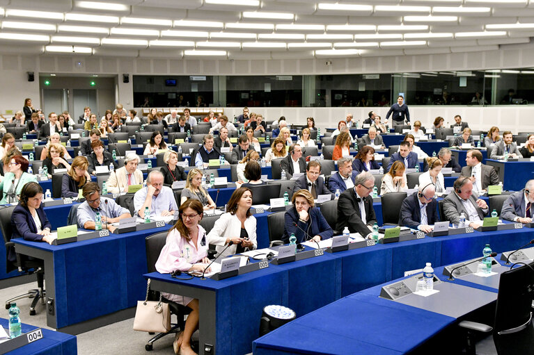 LIBE Committee - Vote on Combating terrorism - Hohlmeier report