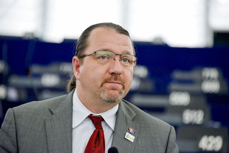 Fotografi 10: Plenary session in Strasbourg - Week 27 2016 - VOTES followed by explanations of votes