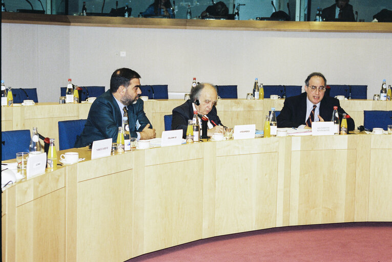 Foto 19: EU-Cyprus Parliamentary Committee meeting