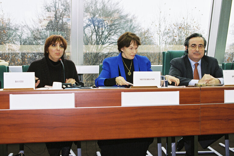 Fotografija 7: Meeting with the wife of former French President Mitterrand