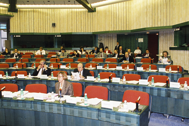 Valokuva 4: STOA meeting in Strasbourg