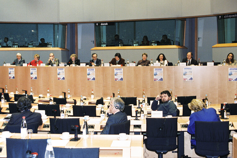 Fotografija 23: Committee on Institutional Affairs - Public hearing - 1996 Intergovernmental Conference - The European Parliament : A Sounding Board for Europe's Citizens