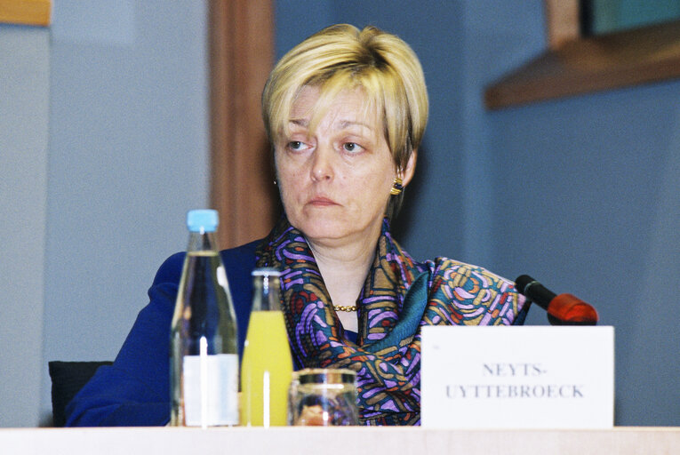 Fotografija 2: Committee on Institutional Affairs - Public hearing - 1996 Intergovernmental Conference - The European Parliament : A Sounding Board for Europe's Citizens