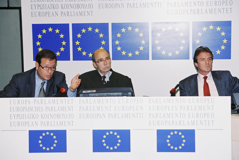 Fotó 8: Press conference in Strasbourg