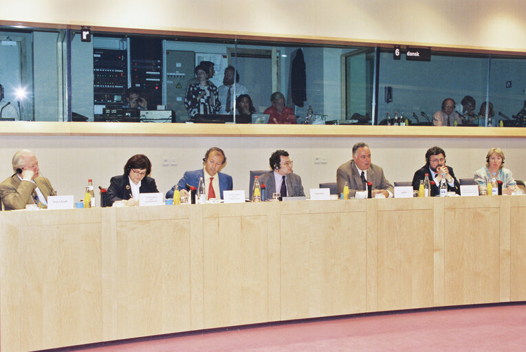 Fotografie 14: Meeting of the Committee on Petitions