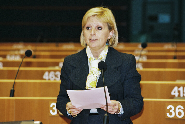 Plenary session in Brussels