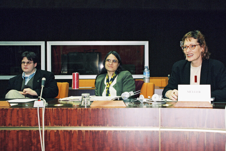 Fotografija 11: Meeting of the Greens group